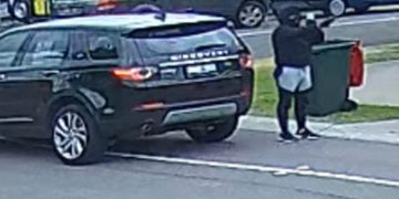 Daylight Ambush Caught on Camera