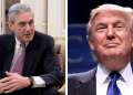 Trump Aide: One Mueller Mistake