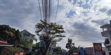 Bumi Laweyan: Saksi Bisik Abdi Dalem Keraton