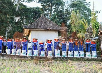 Keliki Mandiri: Energi Bersih, Pangan Lestari