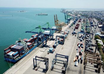 GPEI: Dampak DSI Baru Terasa 2025