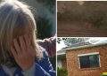 Truck’s Decade-Long Damage: Lily’s Unfixed Home