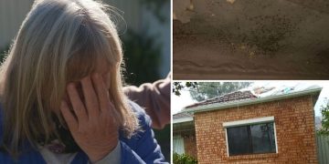 Truck’s Decade-Long Damage: Lily’s Unfixed Home