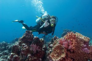 AntalyaKemer:ScubaDivingw-Pickup,Lunch,and2Dives.jpg