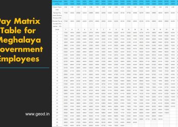 Maut Truk Palembang-Prabumulih: Pasutri Tewas Seketika