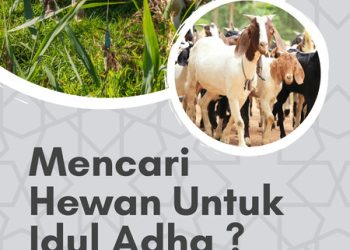 KONI Kering, Diky Bela Tim Voli Tasikmalaya ke Porprov Jabar