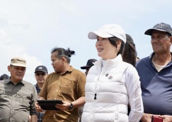 BP Batam Siapkan Langkah Strategis Hadapi Persaingan Investasi Regional: Peluang Keberlanjutan Ekonomi Kawasan Batam