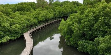 PON XXI 2026 Bali: Kesiapan 95%, Apa Saja yang Sudah Selesai?