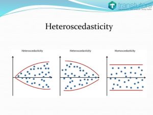 heteroscedasticity-eonomics-1-638.jpg