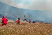 AA29FfS5.jpg